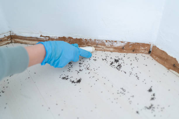 Best Commercial Pest Control  in Coquille, OR